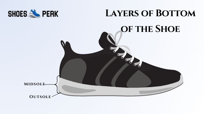 Layers of Bottom of the Shoe